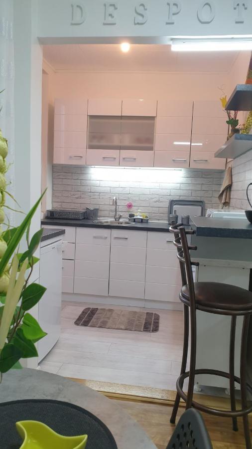 Despot Apartmani Nis Exterior photo